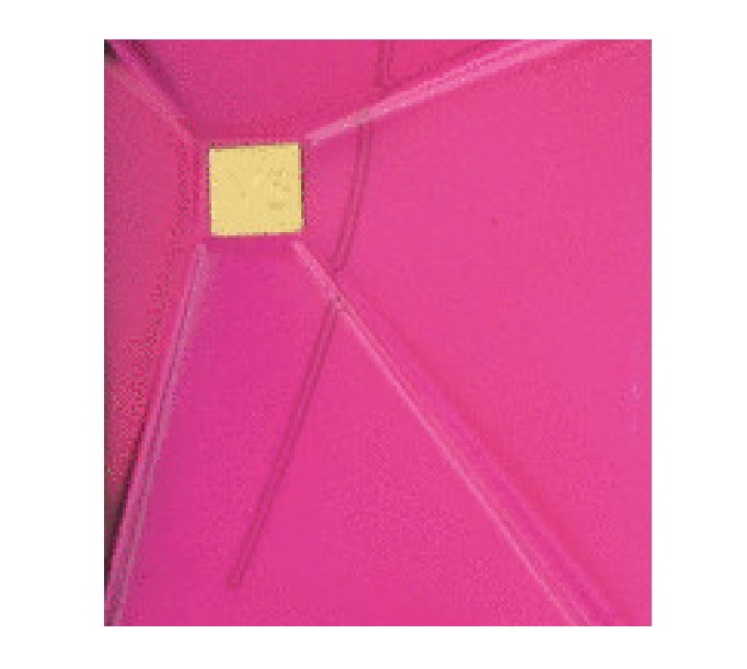 Dark Orchid Seduction Perfume (Women) Type Body Oils Dark Orchid Seduction Perfume (Women) Type Body Oils